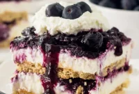 No-Bake Blueberry Cheesecake Delight