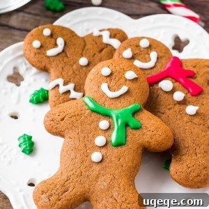 Melt-in-Your-Mouth Gingerbread Delights 9 A plate of soft gingerbread cookies - these are perfectly spiced and the best gingerbread cookies around.