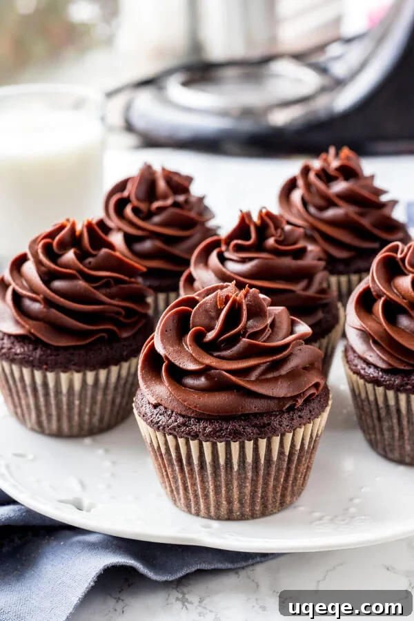 Velvety Chocolate Cream Cheese Delight 4 A plate of cupcakes with cream cheese chocolate frosting