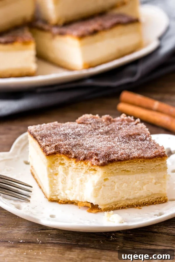 Sopapilla cheesecake with two layers of flaky pastry and a generous cinnamon sugar topping, sliced and ready to serve.