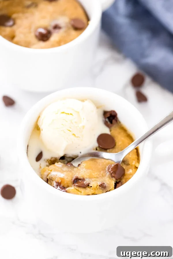Instant Chocolate Chip Mug Bliss 2 Chocolate chip cookie in a mug - a soft, chewy, deep dish cookie that's made in the microwave