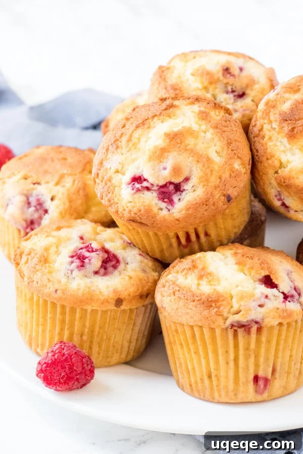 A close-up of moist raspberry muffins with a hint of lemon in the batter, ready to be enjoyed.