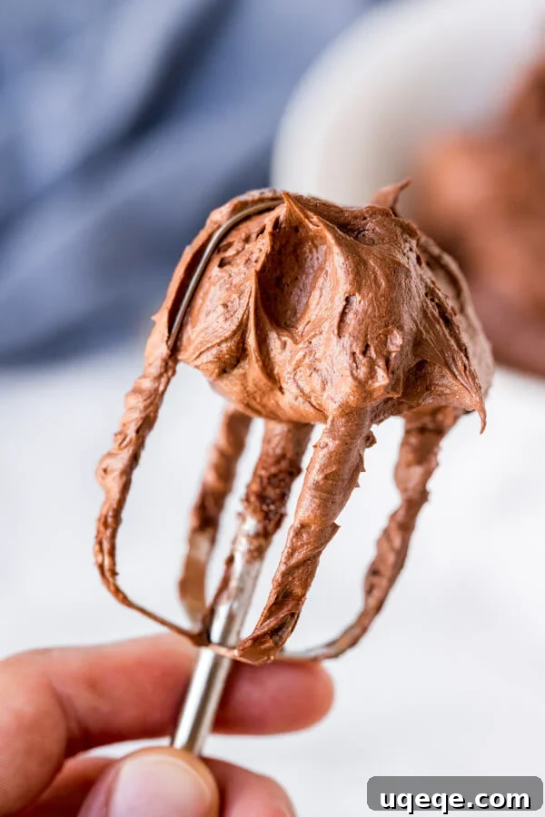 Ultimate Brownie Finish 2 This brownie frosting is creamy, extra smooth, perfectly chocolatey and designed specifically for brownies. A close-up shot of a brownie with generous swirls of chocolate frosting.