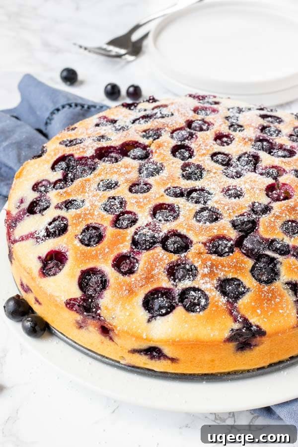 Blueberry Bliss Cake 3 Close-up of a moist blueberry cake, showing the even distribution of blueberries throughout the tender crumb, with a gentle lemon scent evident.