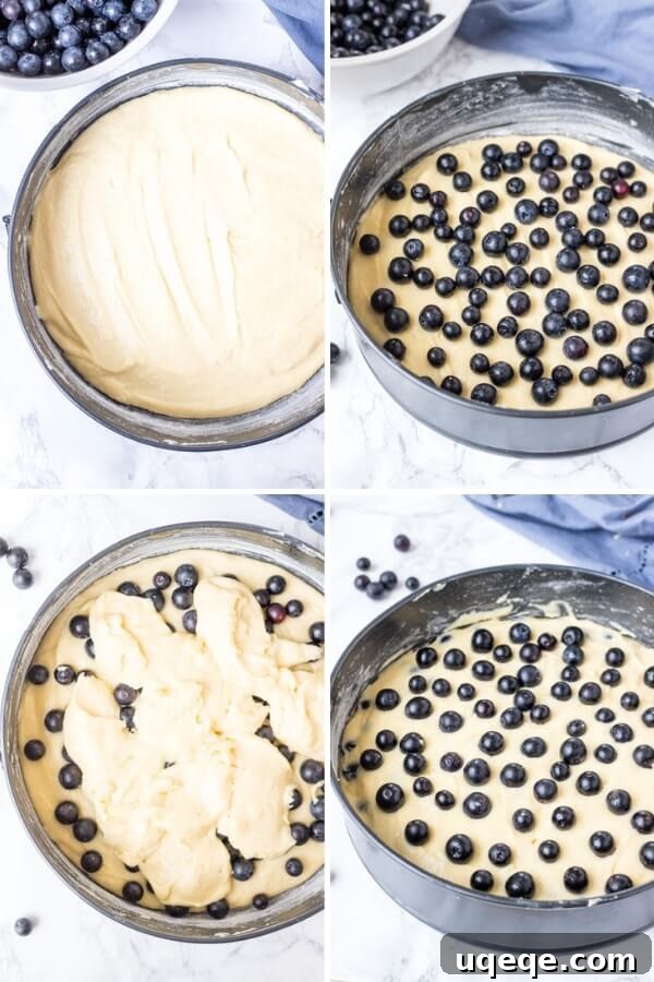 A step-by-step collage demonstrating the process of making a moist and tender blueberry cake, from mixing ingredients to layering blueberries.