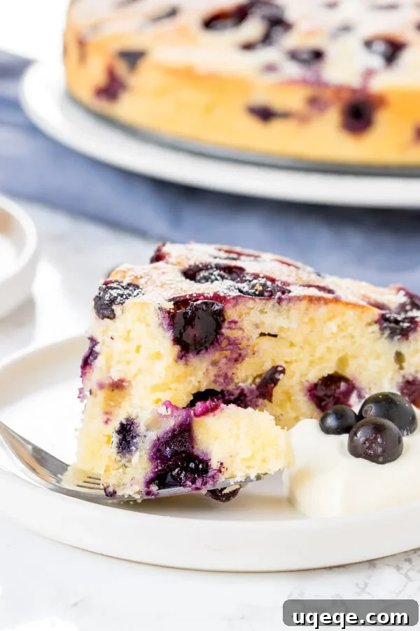 A close-up view of a perfectly sliced piece of moist blueberry cake, revealing its tender texture and plentiful blueberries, with a bite taken out.