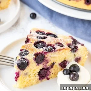 Beautiful blueberry cake is supremely moist, with a deliciously soft & tender crumb, and a slight hint of lemon. It's not too sweet - which makes it ideal for afternoon tea or brunch.