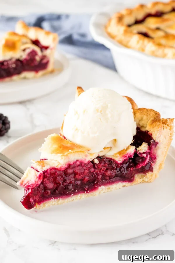 Wild Blackberry Pie 2 A glorious slice of homemade blackberry pie, showcasing its beautifully flaky pastry and a generous scoop of melting vanilla ice cream on top.
