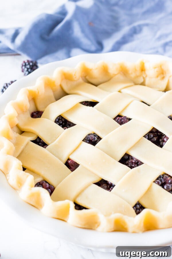Wild Blackberry Pie 4 An unbaked blackberry pie, meticulously prepared with a classic lattice crust design and beautifully crimped edges, awaiting the oven.