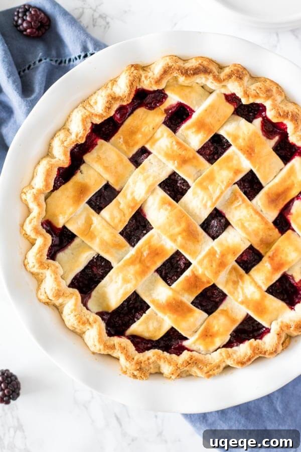 Wild Blackberry Pie 5 A glorious baked blackberry pie, featuring a golden-brown, intricately woven lattice top crust, a testament to homemade flaky pastry.
