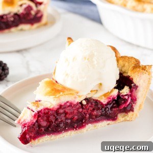 A delectable slice of blackberry pie, featuring a golden, flaky crust and a scoop of creamy vanilla ice cream, presented beautifully.
