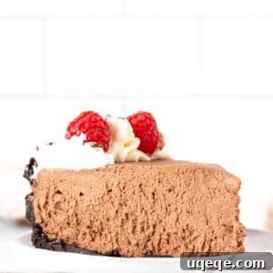 Decadent No Bake Chocolate Cheesecake 11 A captivating slice of no-bake chocolate cheesecake, adorned with delicate swirls of whipped cream and fresh raspberries, highlighting its smooth interior and crunchy crust.