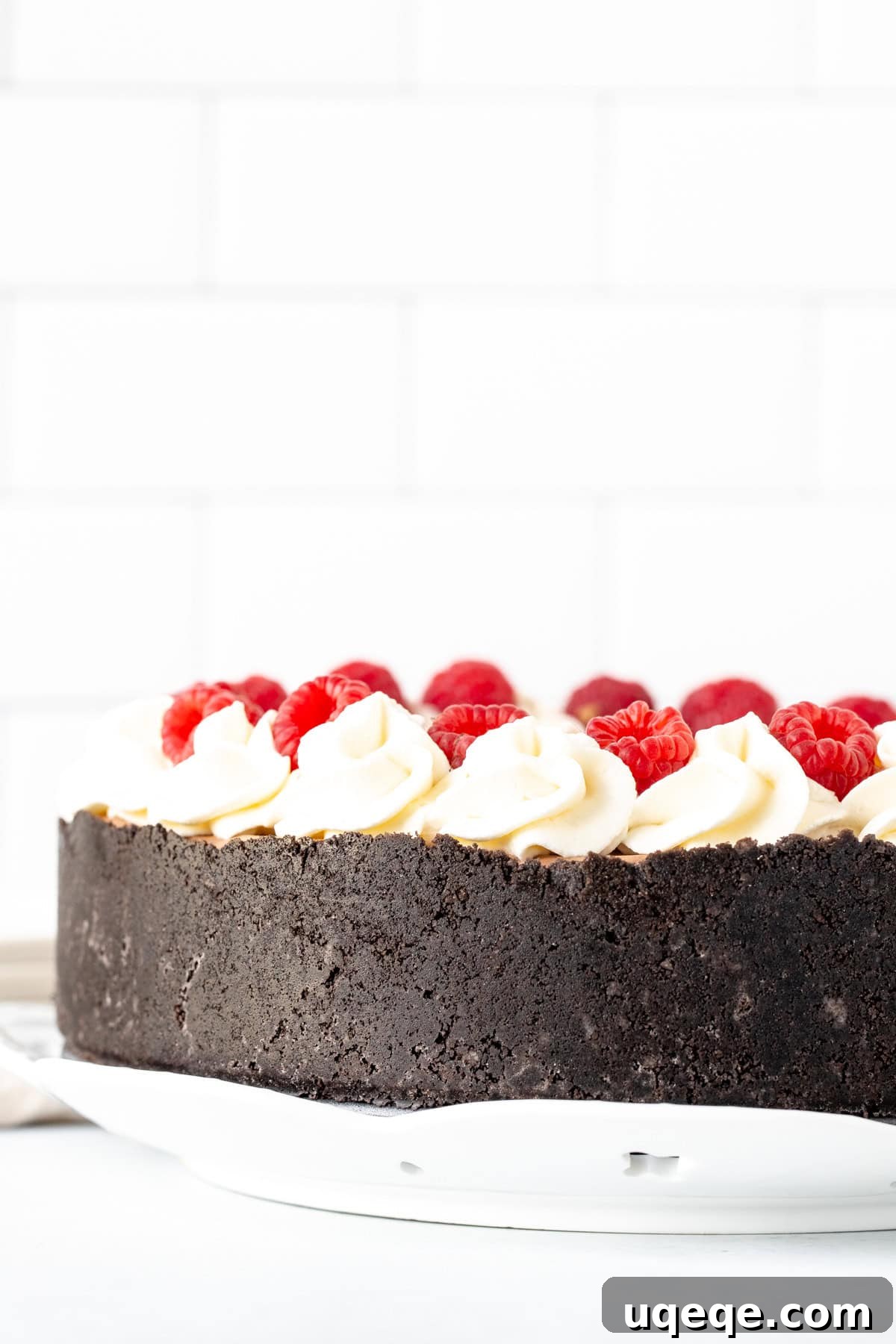 Decadent No Bake Chocolate Cheesecake 3 A beautifully decorated round chocolate cheesecake with a thick Oreo crust, encircled by a border of whipped cream rosettes and fresh berries, ready to be served.