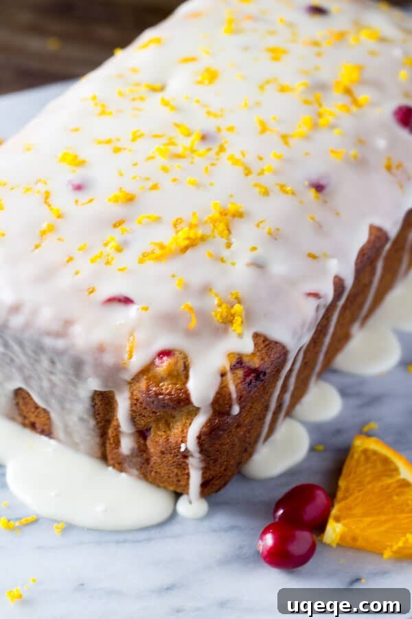 Golden Cranberry Orange Loaf 3 A close-up of a slice of Glazed Cranberry Orange Loaf, showing its incredibly soft and moist crumb. A perfect treat for morning coffee or holiday gatherings.