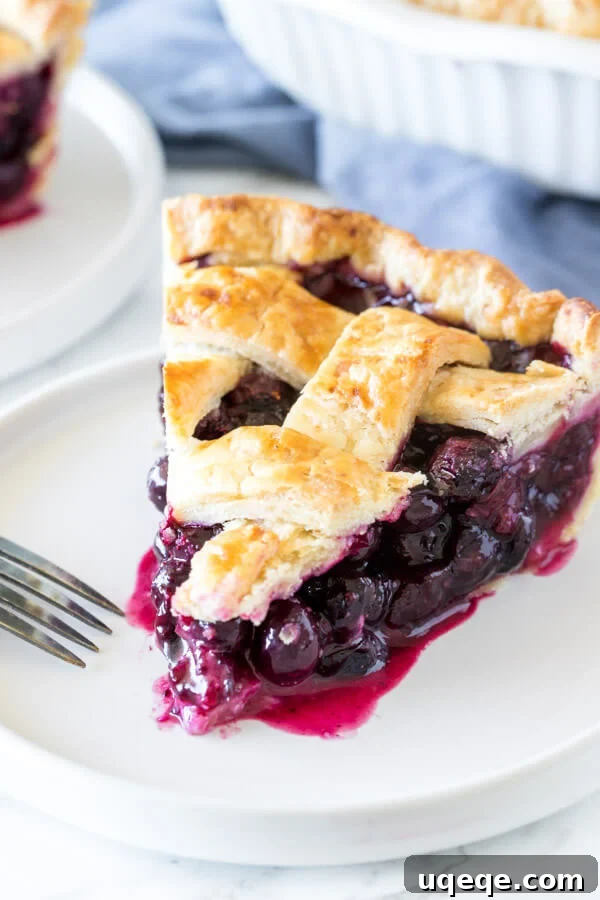 Buttery Flaky Pie Crust 9 A slice of blueberry pie made with buttery, flaky homemade pie crust recipe