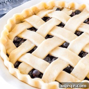 Buttery Flaky Pie Crust 8 Homemade pie with a lattice crust and fluted edges.