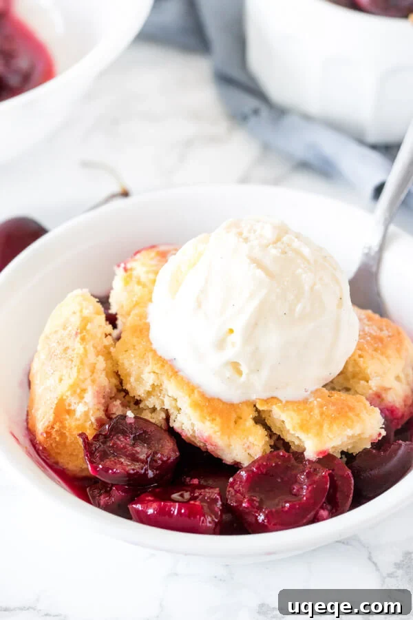 Ruby Red Delight 2 A bowl of fresh cherry cobbler with a flaky biscuit topping and a scoop of vanilla ice cream melting on top, garnished with a single cherry.