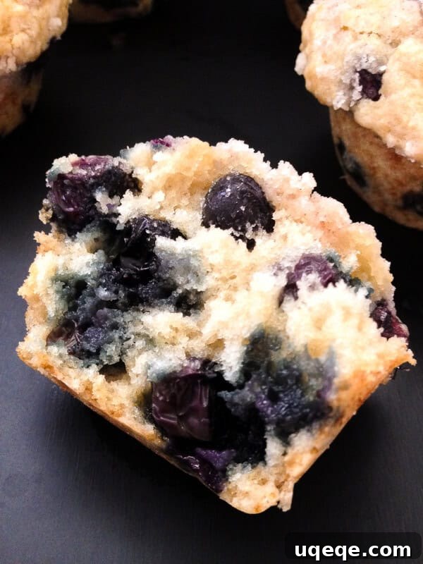 Sweet Crumble Blueberry Muffins 3 Blueberry Muffins with Streusel Topping