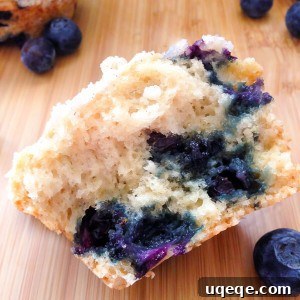 Sweet Crumble Blueberry Muffins 4 Blueberry Muffins with Streusel Topping