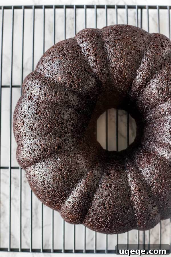 Kolayca Mükemmel Bundt Kek Yapmanın Püf Noktaları 5 A perfectly released chocolate Bundt cake cooling on a wire rack, showcasing its intricate pattern.