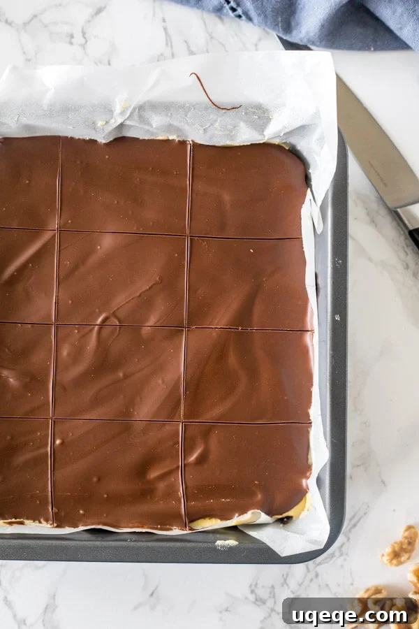 Triple Layer Nanaimo Bliss 7 A pan of classic Nanaimo bars after they're almost done hardening, showing the chocolate topping that has been scored for easier cutting.