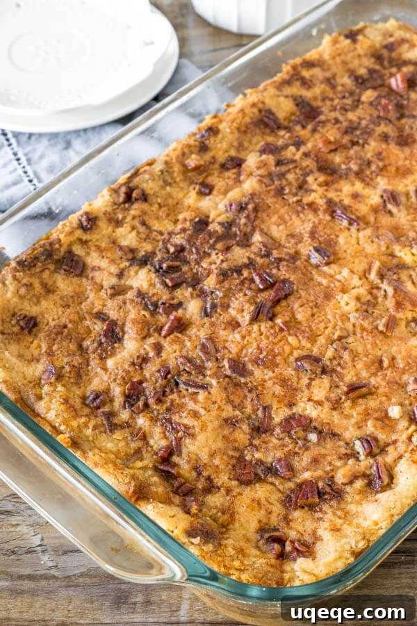 The golden-brown, baked pumpkin dump cake fresh out of the oven, showcasing its irresistible cake mix and pecan topping.