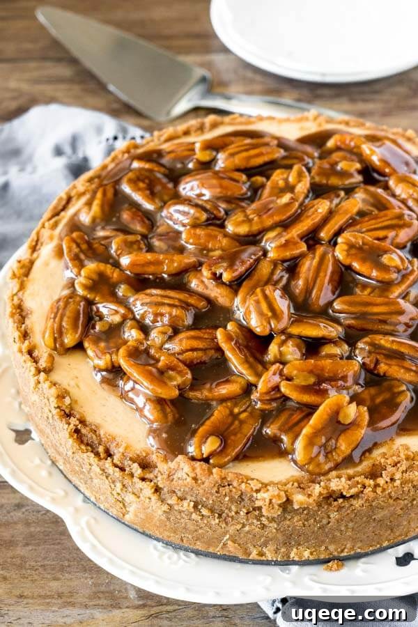 A slice of creamy Pecan Pie Cheesecake with a rich, glistening pecan topping, showcasing the thick graham cracker crust.
