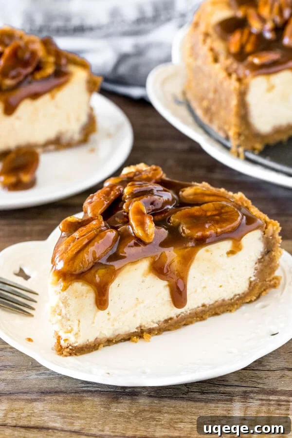 A perfectly sliced piece of Pecan Pie Cheesecake, showcasing the creamy filling and a generous, glistening pecan topping.
