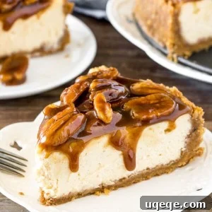 A tantalizing slice of Pecan Pie Cheesecake with a rich, gooey topping, ready to be enjoyed.