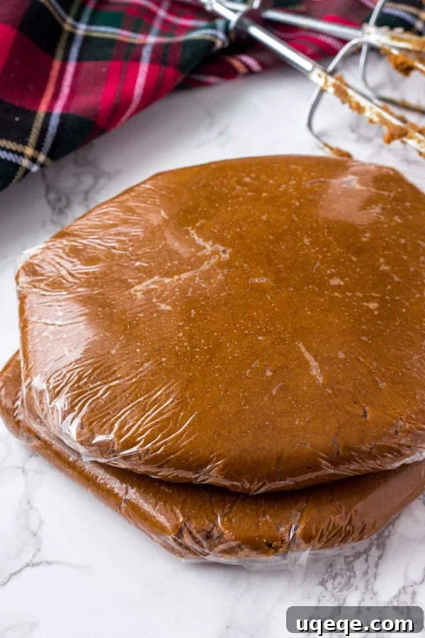 Freeze for Future Feasts: Your Ultimate Guide to Storing Cookie Dough and Baked Cookies 4 Gingerbread cookie dough formed into 2 discs before freezing.
