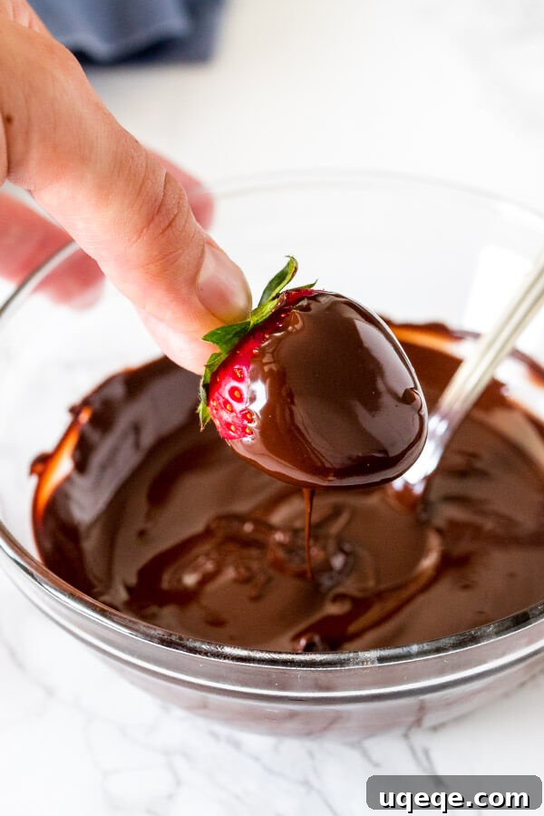 Mastering Chocolate Melting 2 A vibrant strawberry perfectly dipped into a rich, warm bowl of melted chocolate, showcasing its smooth and glossy texture.
