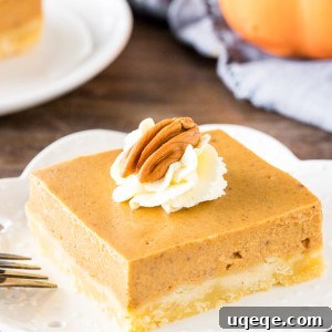 Velvet Pumpkin Pie Bars 6 A slice of pumpkin pie bars with easy shortbread crust and whipped cream on top.