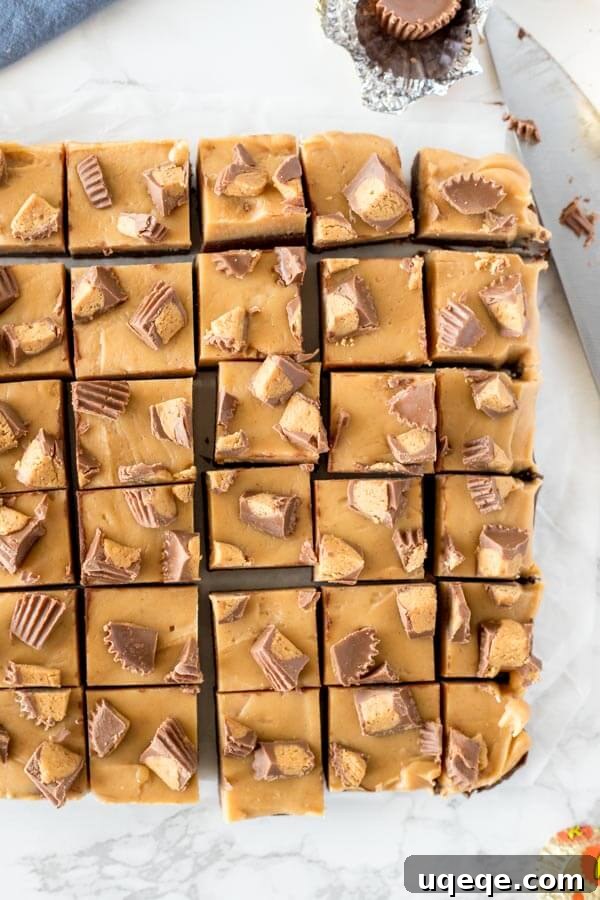 Chocolate Peanut Butter Buckeye Fudge 3 A pan of chocolate peanut butter fudge with miniature Reese's Peanut Butter Cups on top, cut into neat pieces and photographed from above.