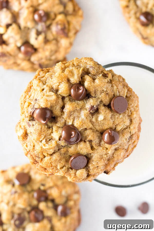 A perfectly baked, soft, and chewy oatmeal chocolate chip cookie, made with visible old-fashioned oats, presented on a cooling rack.