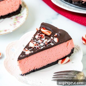 Arctic Peppermint Cheesecake 11 Slice of peppermint cheesecake with chocolate topping