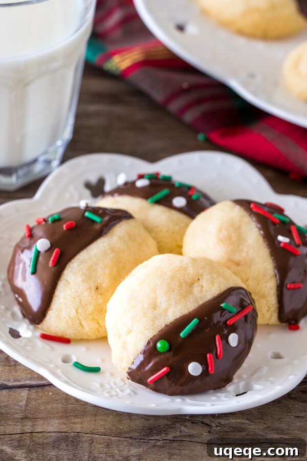 A charming close-up of a small plate showcasing four perfectly round chocolate-dipped shortbread cookies, highlighting their elegant appearance, tender texture, and rich chocolate coating.