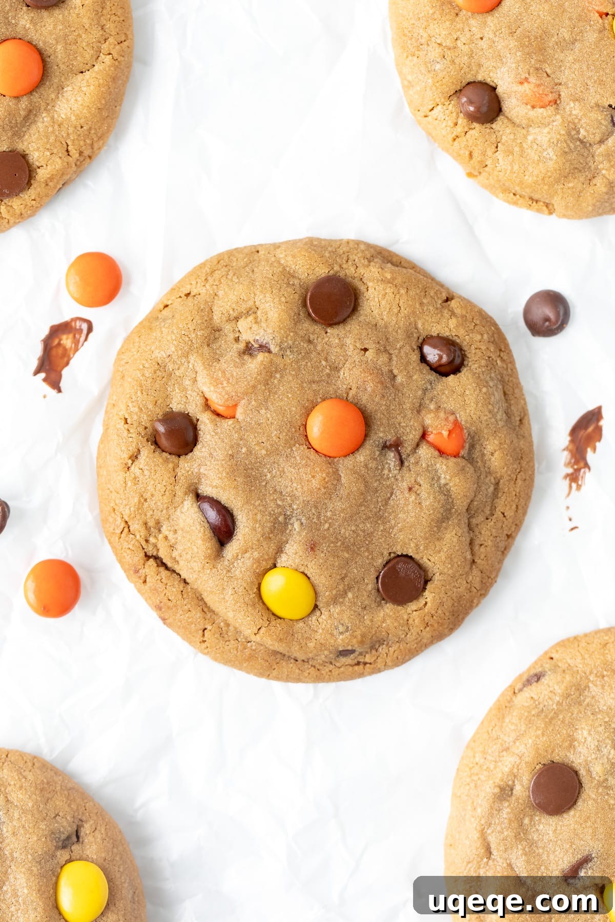 Ultimate peanut butter cookie with peanut butter candies and chocolate chips, showcasing a perfect texture.