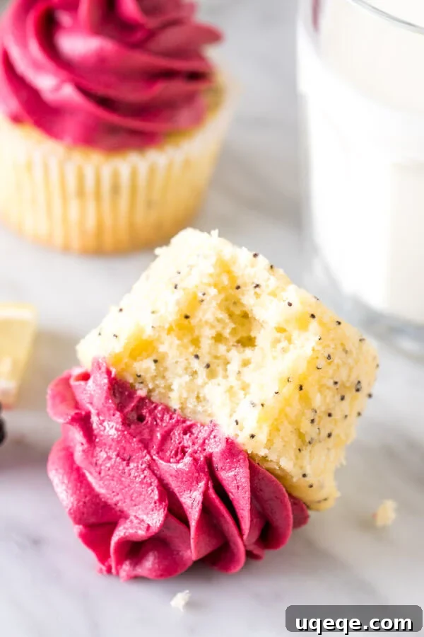 Blackberry Kissed Lemon Poppy Seed Cupcakes 3 Cupcake on its side with a bite taken out of it.