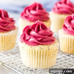 Blackberry Kissed Lemon Poppy Seed Cupcakes 5 Lemon poppy seed cupcakes on a wire cooling rack.