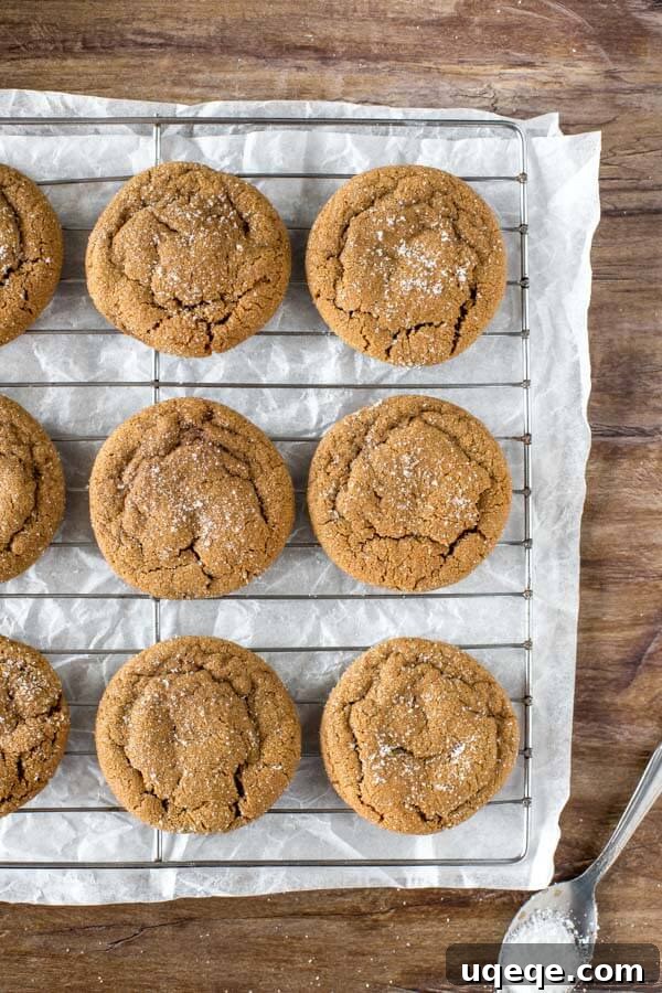 Irresistibly Soft and Chewy Ginger Molasses Cookies 3 Ginger Molasses Cookies cooling on a wire rack, viewed from above, showcasing their perfectly crinkled tops
