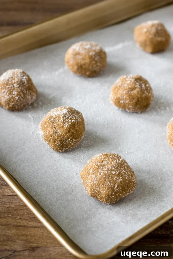 Irresistibly Soft and Chewy Ginger Molasses Cookies 4 A baking sheet filled with ginger molasses cookie dough balls, generously coated in sugar, ready for the oven