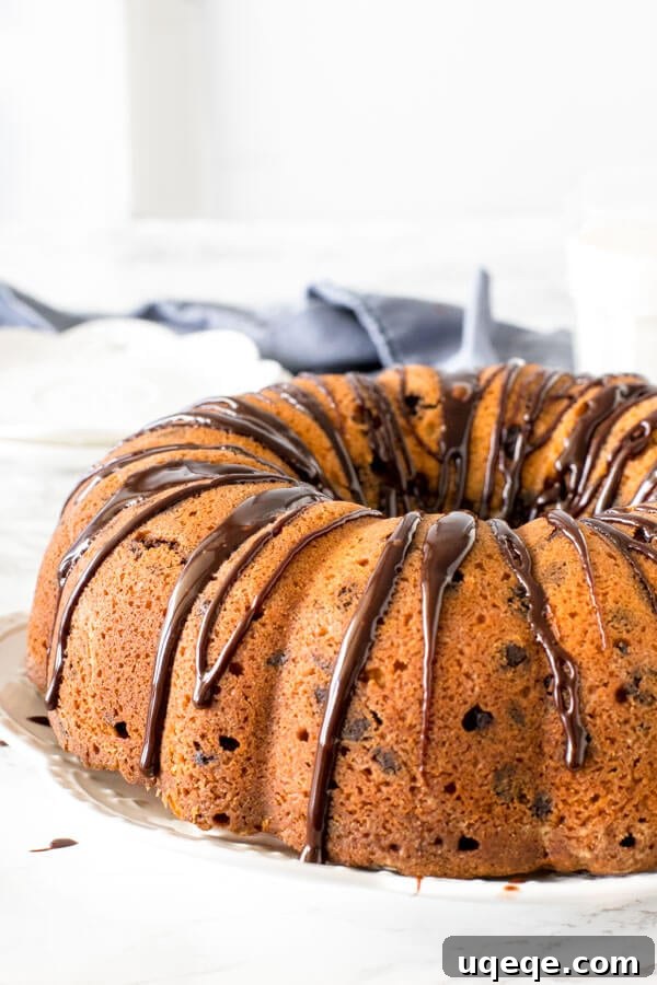 Bundt cake drizzled with chocolate ganache on a plate.