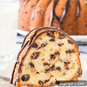 Slice of chocolate chip bundt cake on a plate with glass of milk.
