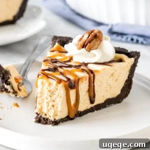 A close-up image of a perfectly portioned slice of No-Bake Turtle Pie, showcasing its layers including the dark Oreo cookie crust, the creamy caramel filling, and the intricate toppings of caramel, chocolate, and pecans, with a small bite taken out to highlight its deliciousness.
