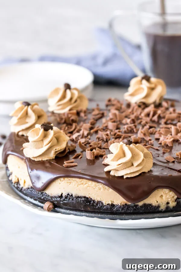 Decadent Coffee Cheesecake 3 Espresso cheesecake on a plate with chocolate ganache, whipped cream and chocolate shavings on top.
