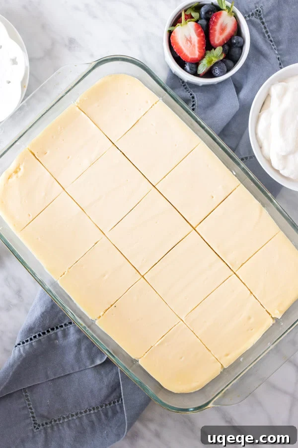 Decadent Cheesecake Bites 3 9x13 inch pan of cheesecake, cut into squares.
