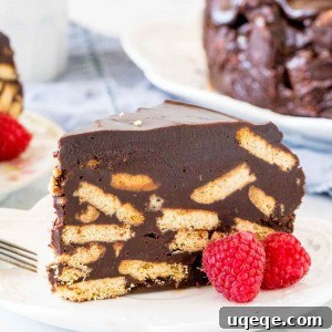 Decadent Chocolate Crunch Cake 5 Slice of chocolate biscuit case.