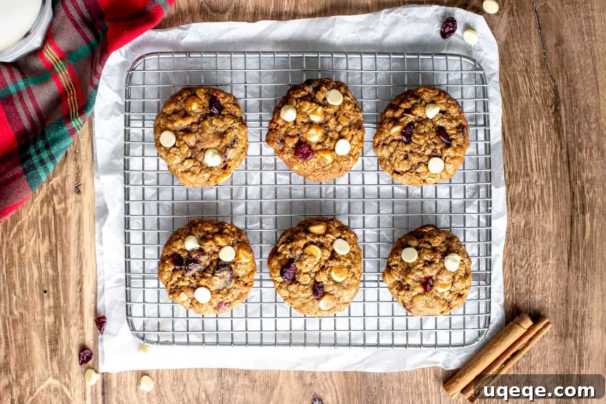 Chewy Cranberry White Chocolate Oat Cookies 3 6 oatmeal cranberry cookies on a cooling rack