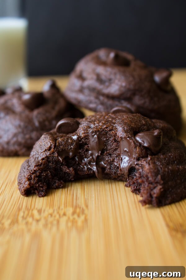 10 Memorable Recipes from 2015 12 Soft Batch Double Chocolate Cookies. Rich, fudgy, soft batch double chocolate cookies oozing with chocolate chips – Chocolate lovers rejoice! www.justsotasty.com