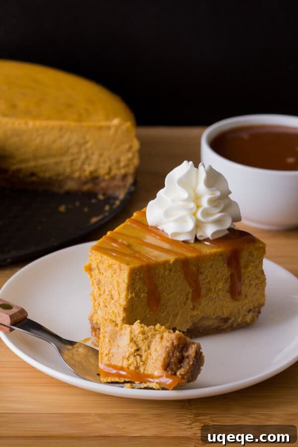 10 Memorable Recipes from 2015 3 Smooth & creamy Pumpkin Cheesecake with a cinnamon graham cracker crust, delicious spices, the perfect pumpkin flavor & drizzled with salted caramel sauce. With lots of baking tips included - try this perfect recipe for fall!